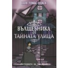 Вълшебника от тайната улица
