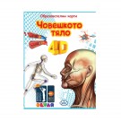 Образователни карти с добавена реалност Човешкото тяло