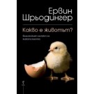 Какво е животът?