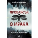 Проблясък в мрака