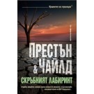 Скръбният лабиринт
